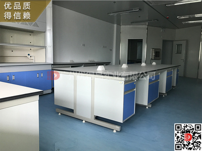 实验室中央台边台实验台试剂架通风柜治疗柜吊柜专业医院医疗家具厂家定制